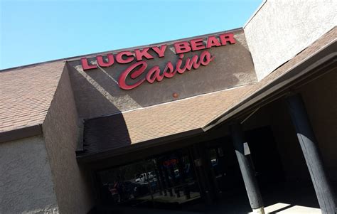 lucky bear casino review